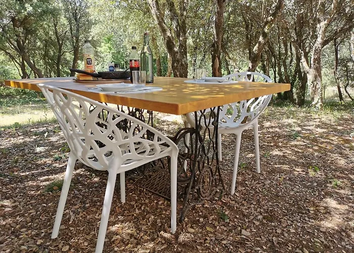 Gite Moderne En Drome